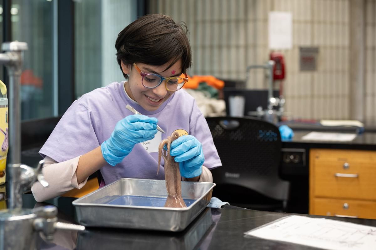 A student in the STEM4Girls program dissecting a squid