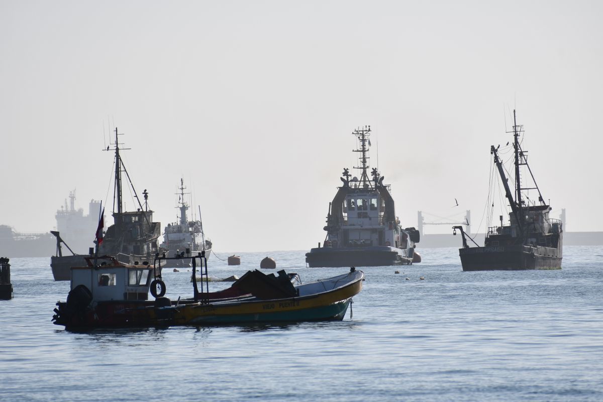 fishing boats on the water near coastal Chile