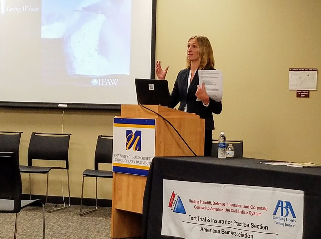 Daina Bray, general counsel for the International Fund for Animal Welfare, speaks at the Law School on Nov. 16, 2016.