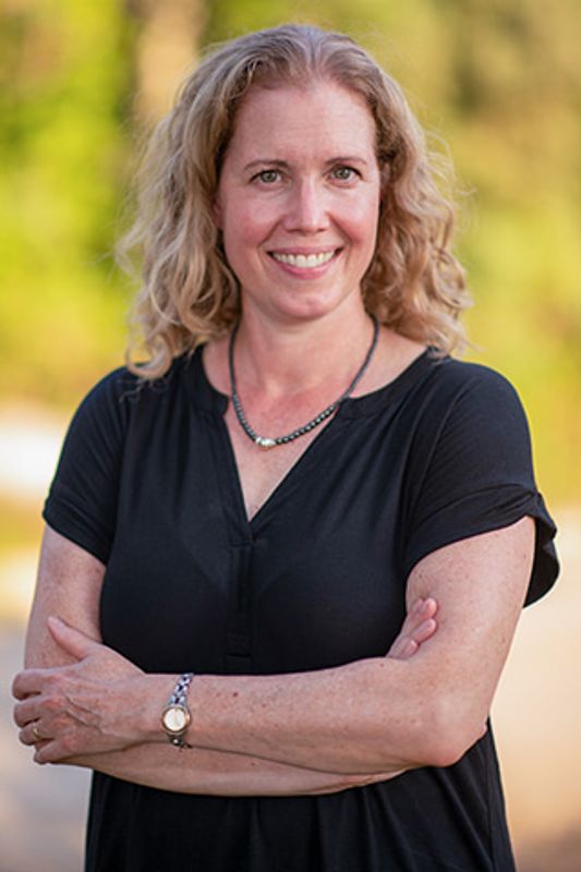 Legal Skills Professor