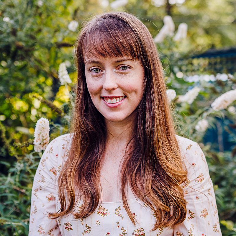 Visiting Professor of Law