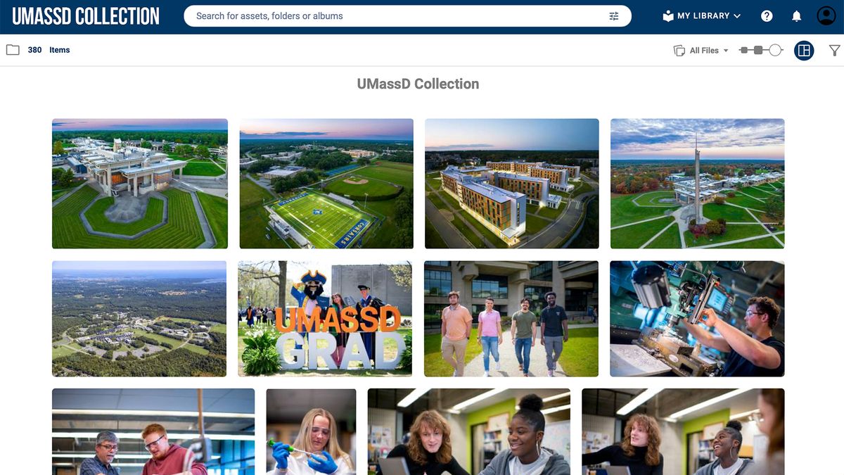 UMassD Collection Screenshot