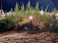 Solar-powered landscape lighting in the park, which was installed by IA+D students and purchased using the Wicked Cool Places grant funds