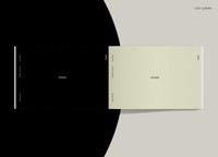 Color Palette, 2021, color choices