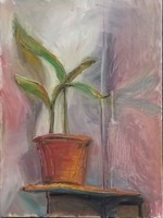 Plant Study, 2020, oil on canvas, 16 X 20 inches