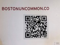 Vinyl Webpage, 2022, vinyl webpage address along with scannable qr code for in exhibition access, 23 x 1.5 in & 12 x 12 in