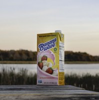 Banana Wave, 2021, archival inkjet print