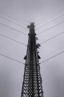 Fifth Generation, 2020, archival inkjet print