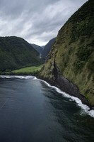 Jurassic Park, 2019, archival inkjet print