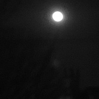 Untitled, archival inkjet print, 11 x 11 in.