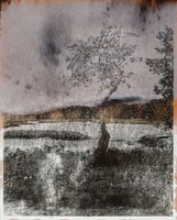 Gloucester XII, Print ‘C’, 2009, 20x16