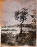 Gloucester XII, Print ‘A’, 2009, 20x16