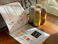 Brand Logo and Color