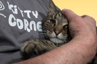 Supplementary Photography, 2023, 4.5 x 3 in.