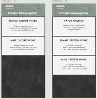 Diet Section Calorie and Protein