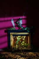 Fireplace, 2023, archival pigment print, 24 x 36 in.