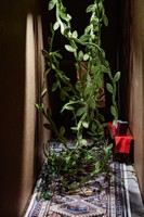 Hallway, 2023, archival pigment print, 24 x 36 in.