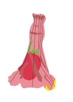 Childish, 2023, formal Adventure Time redesign