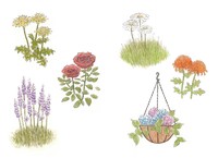 Flowers, from “Trees and Flowers” 2024, 8.5 x 11 in.