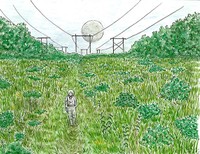 Field, 2023, 8 x 6.25 in.