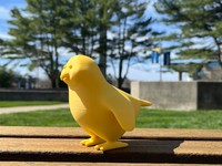 Yellow Bird, 2025, a close-up of the yellow bird model, 16.67 x 12.5 in