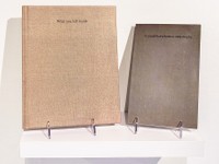 What You Left Inside, 2025, books