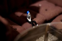 324 Broadway St. Fall River, 02721 (detail), 2025, vintage suitcase, wood, fabric, mixed media, 29 x 22 x 27 in.