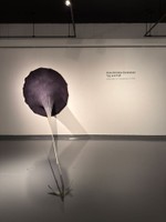 Anna Kristina Goransson: Tug and Pull