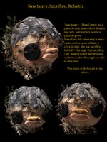 Sanctuary. Sacrifice. Rebirth.