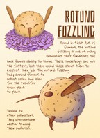 Rotund Fuzzling, 2026, digital