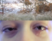 Untitled 6, 2026, archival inkjet print, 18 x 14 in.