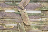 Moss Pallet (detail), 2023