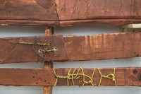 Rust Pallet (detail), 2023