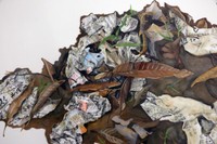 Maya August Palmer, Accretion (detail), 2025, Oil and colored pencil on dura-lar, 18 x 24 in.