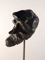 Image 8