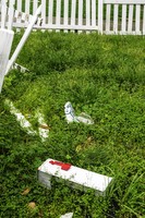 Picket Fences, Covid Walks