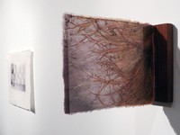 2011 MFA Exhibition Space