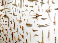 Hickman Exhibition Space