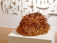 Hickman Exhibition Space