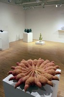 The Uncommon Object Alumni Exhibition