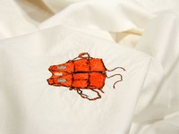 Jodi Stevens, detail of work