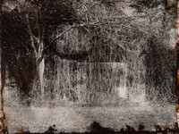 Denny Moers Consumed Structure, IV, AA, (detail) 2016-2017 Photographic monoprint