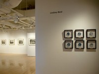 Singular Repetitions Gallery Space Slide Show