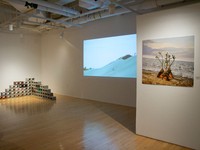 Raquel Paiewonsky: InsideOut Exhibition