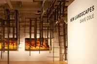 Dave Cole: New Landscapes