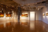 Dave Cole: New Landscapes