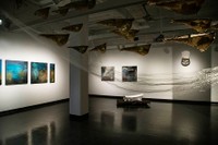 Installation view of the MFA Thesis Exhibition