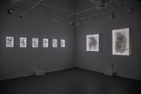 Installation view of the MFA Thesis Exhibition