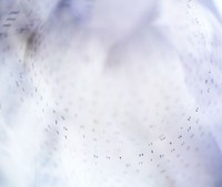 Measures 99–102, mixed media, 11