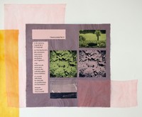 varied clarity: an index, 2021, handmade paper and ink, natural dye, cloth, reclaimed lumber, 7’ x 14’ installation. Photo credit: Hope Millham